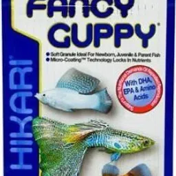 Fancy Guppy 22g Fish Food (1Dozon) 0.264 kg (12x0.02 kg) Dry Adult, Young, Senior Fish Food-image-72