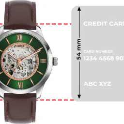 timex Automatic Green Dial Analog Watch - For Men TWEG208SMU06 image 4