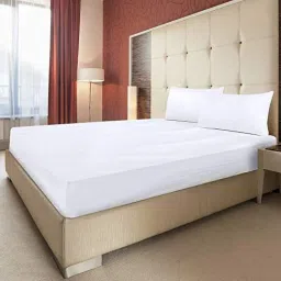 500 TC Cotton Queen Solid Fitted (Elastic) Bedsheet-image-44