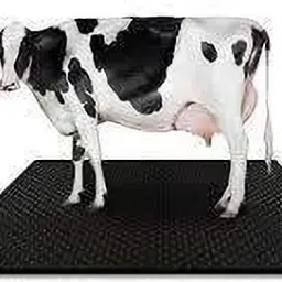 COW MAT ONE PCS 4XL Pet Bed (BLACK) Cow, Dog, Hamster, Guinea Pig, Miniature Pig Pet Mat-image-25