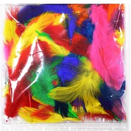stylewell Natural Dyed Multi-Purpose Craft Feathers (80pc Approx) for Art & Craftworks-picture-0