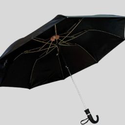 Two Fold Umbrella For Men & Women SOFU44 Umbrella-image-70