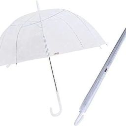 Transparent Umbrella Umbrella-image-13