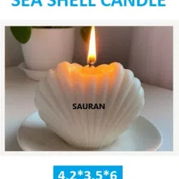Sea shell 4.2*3.5*6.5 cm Candle-1