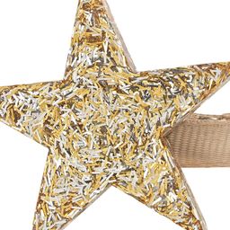 Aye Candy Girls Set of 2 Glitter Star Alligator Hair Clip image 3