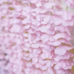 TIED RIBBONS Set Of 6 Pink & Green Artificial Hanging Wisteria Flower-Strings image 3