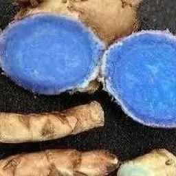 Black Turmeric Original/Nalla pasupu Kali Haldi seed/Kali Haldi/Karumanjal Seed-picture-21