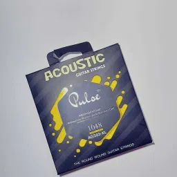 Acoustic PULSS STRING Guitar String-94