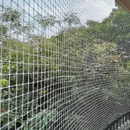 AntiBird Net / Pigeon Net 10 Ft. x 6 Ft.(60 SQ.Ft.)Nylon Net For Balcony/ Camping Net-2