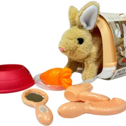 Pets Lovely House - Interactive Battery-Operated Rabbit with Walking Motion-image-64