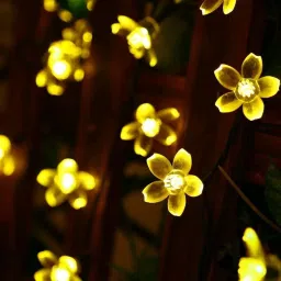 16 LEDs 7.62 m Yellow Steady Flower Rice Lights-image-46