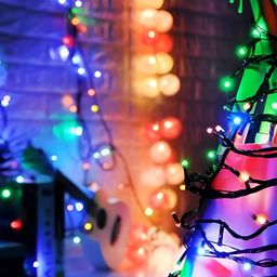 ENORMITY Red & Green Rice Shape String Lights image 3