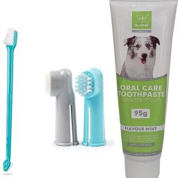 Mint Flavor Dog Toothpaste 95g With Cleaning Dental Toothbrush Pet Toothpaste-image-28