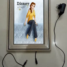 , CINDERELLA MODAL NO-26 , 15.5 inch LED PHOTO FRAME-image-9