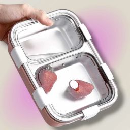 StainlessSteel 2Compartment Pink Lunchbox 750ml _KYNEW140 2 Containers Lunch Box-image-91