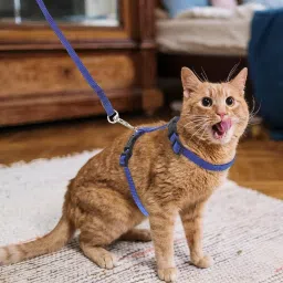Adjustable Blue Cat Harness with Blue Leash for All Cats & Kitten Easy to Fit Easy to Control Cat Harness & Leash-image-18