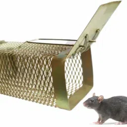 Rat Mouse Iron Cage Trap Set Of 1 Medium Live Trap-25