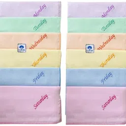 Texco India Cotton Women Embroidered Casual Style Handkerchief ["Multicolor"] Handkerchief-image-57