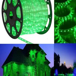 enormity Green Rice Shaped LED String Lights Rope image 3