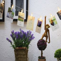 ENORMITY Yellow Photo Clip Shape String Lights image 3