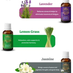 EXOTIC AROMAS 15-Pcs Essential Oils For Diffusers & Therapeutic Use - 10ml Each image 2