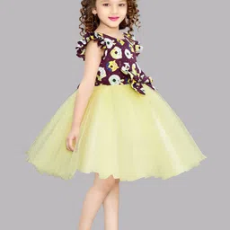 Pink Chick Printed Flutter Sleeve Fit & Flare Net Dress image 2