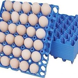 Egg holder Egg Holder-image-59