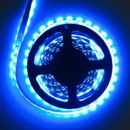 130 LEDs 3 m Blue Steady Strip Rice Lights-26