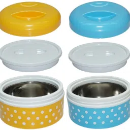Insulated Designed 1 Layer Lunch Box ( pack of 2 ) 1 Containers Lunch Box-image-23