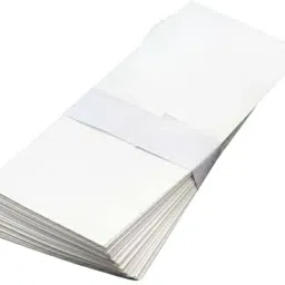 Cheque Mailing Envelopes 4x9 Inches Envelopes-21