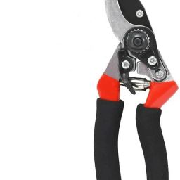 Garden Plant Branch Scissors Flower Cutting Cutter Pruning Bypass Secateurs Heavy Duty Plant Cutter For Home Garden Scissors, Plant Branch Cutter for Tree Ratchet Pruner-picture-16