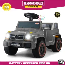 S- Wagon EV , with music player , weight cap : 50 kgs, heaviest battery-image-78