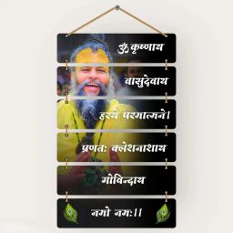 Premium Premanand Ji Maharaj Wall Hanging for Living Room,Bedroom,Spiritual Digital Reprint 30 inch x 12 inch Painting-10