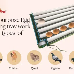 hatchpro 80 Eggs Rolling Automatic egg tray multipurpose with motor ,assembled for Egg Incubator image 2