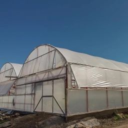 Green House 4.50 Mtr x 25 Mtr 200 GSM Greenhouse Multilayer Poly Plastic Tent - For 200 GSM Multilayer Poly Plastic UV Treated Dust-Proof Waterproof Heavy Duty-picture-21