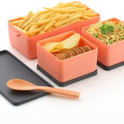 pranshu enterprise 2-Layer Bento Lunch Box with Spoon & Fork 3 Containers Lunch Box image 4
