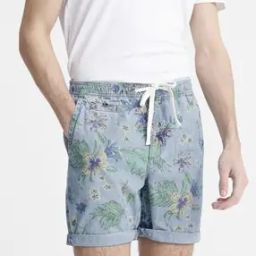 Sunscorched Chino Regular Fit Shorts-picture-47