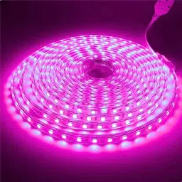 120 LEDs 3 m Pink Steady Strip Rice Lights-picture-24