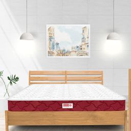 USHA SHRIRAM Maroon Quilted Orthopedic SingleMattress-image-82