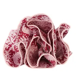 Peter England Men Maroon & White Printed Pocket Square-image-46