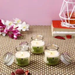 HOSLEY Set of 3 White Sweet Pea Jasmine Fragrance Jar Candles-image-50