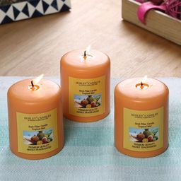 HOSLEY Set of 3 Orange Tropical Mist Fragranced Wax Pillar Candles-image-49