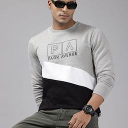 Park Avenue Men Colourblocked Sweatshirt-image-53