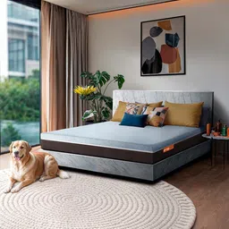 Sleepyhead Laxe Natural Pincore Latex 6" Double Mattress (75x48 Inch)-picture-23