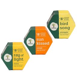 Last Forest Set of 3 Artisanal Beeswax Handmade Lip Balms - 10 g Each image 2