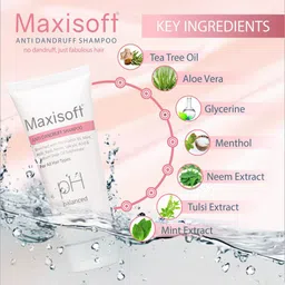 Maxisoft Set of 4 Anti-Dandruff Shampoo with Pro Vitamin B5 - 100 ml each image 4