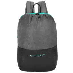 Aristocrat 15 Ltrs Grey Medium Backpack-image-97