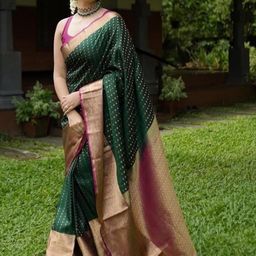 Parampara Ethnic Pure Silk Embroderid Saree With Beautiful Blouse-picture-46