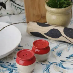 VarEesha Awesome Solids Red & White Ceramic Salt & Pepper Shakers - Set of 2-28