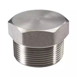 VIKAS 2 Inch Stainless Steel 304  Hex Cap-image-13